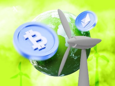 how-to-build-an-eco-friendly-mining-pool-main